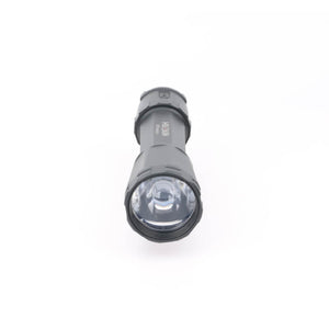 Holosun Raid Weaponlight Illumination