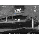 Pulsar Telos XQ35 Thermal Monocular