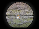 Sig Sauer Sierra6BDX 5-30X56mm Rifle Scope - BDX-R2