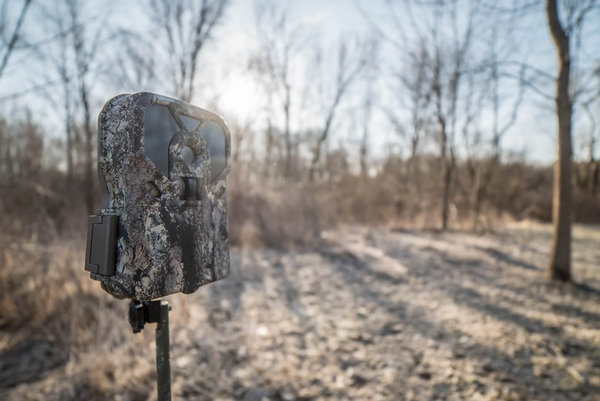 How to Use Trail Camera for Security