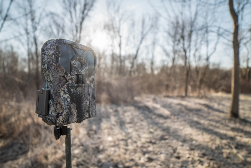 How to Use Trail Camera for Security