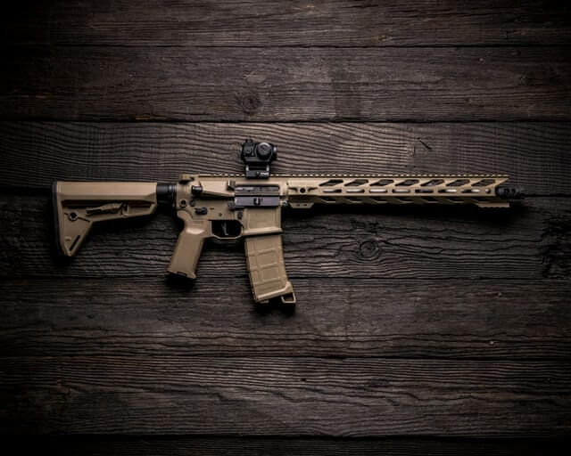 Gun with rifle scope