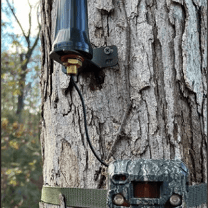 Browning Trail Camera