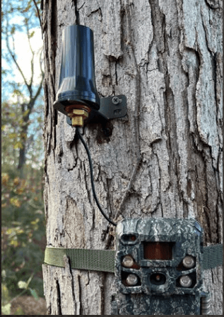 Browning Trail Camera