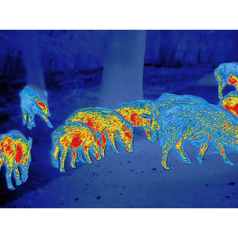 Zeiss DTI 4/50 Thermal Imaging Cameras-Optics Force