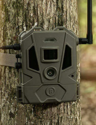 Trail Cameras