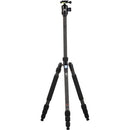 SIRUI W-2004 Series Aluminum Tripod & VA-5 Ultra-Compact Video Head Kit-Optics Force