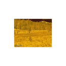 Burris Thermal Hand-held BTH35 v3