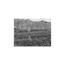 Burris Thermal Hand-held BTH35 v3