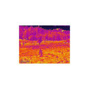 Burris Thermal Riflescope BTS35 640 v3