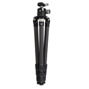 Vortex Optics Radian Carbon with Leveling Head Tripod Kit-Optics Force